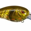 Fishing * | Bmtoutdoors Spro Mike Mcclelland Rkcrawler Md 55 Crankbait