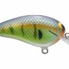 Fishing * | Bmtoutdoors Black Label Cliff Pace Peanut Crankbait