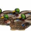 Hunting * | Bmtoutdoors Avery Ghg Pro-Grade Xd Series Mallards, Active 6 Pack