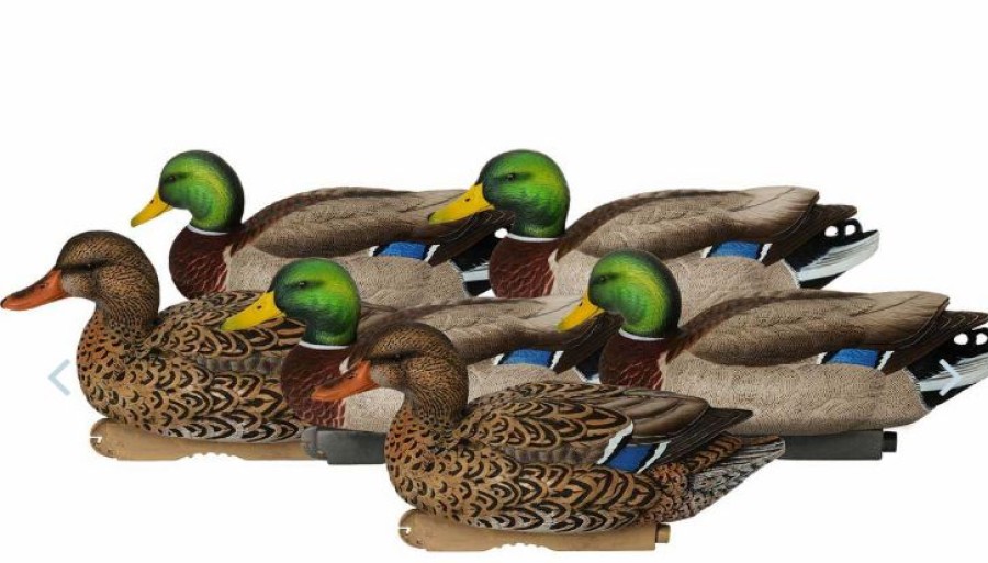 Hunting * | Bmtoutdoors Avery Ghg Pro-Grade Xd Series Mallards, Active 6 Pack