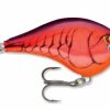 Fishing * | Bmtoutdoors Rapala Dt 10 Crankbait Medium Diving Crankbaits