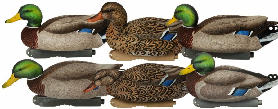 Hunting * | Banded Holdings Pro-Grade Mallard Xd Harvester 6 Pack Duck