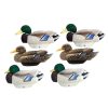 Hunting * | Bmtoutdoors Lifetime Decoys Flexfloat Flocked Mallards Duck