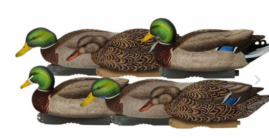 Hunting * | Bmtoutdoors Avery Ghg Pro-Grade Xd Series Mallards, Feeder 6 Pack