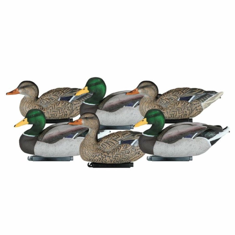 Hunting * | Bmtoutdoors Dakota Packable Mallards Decoys Duck